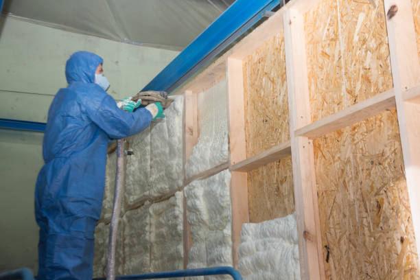 Insulation for Commercial Buildings in Milliken, CO